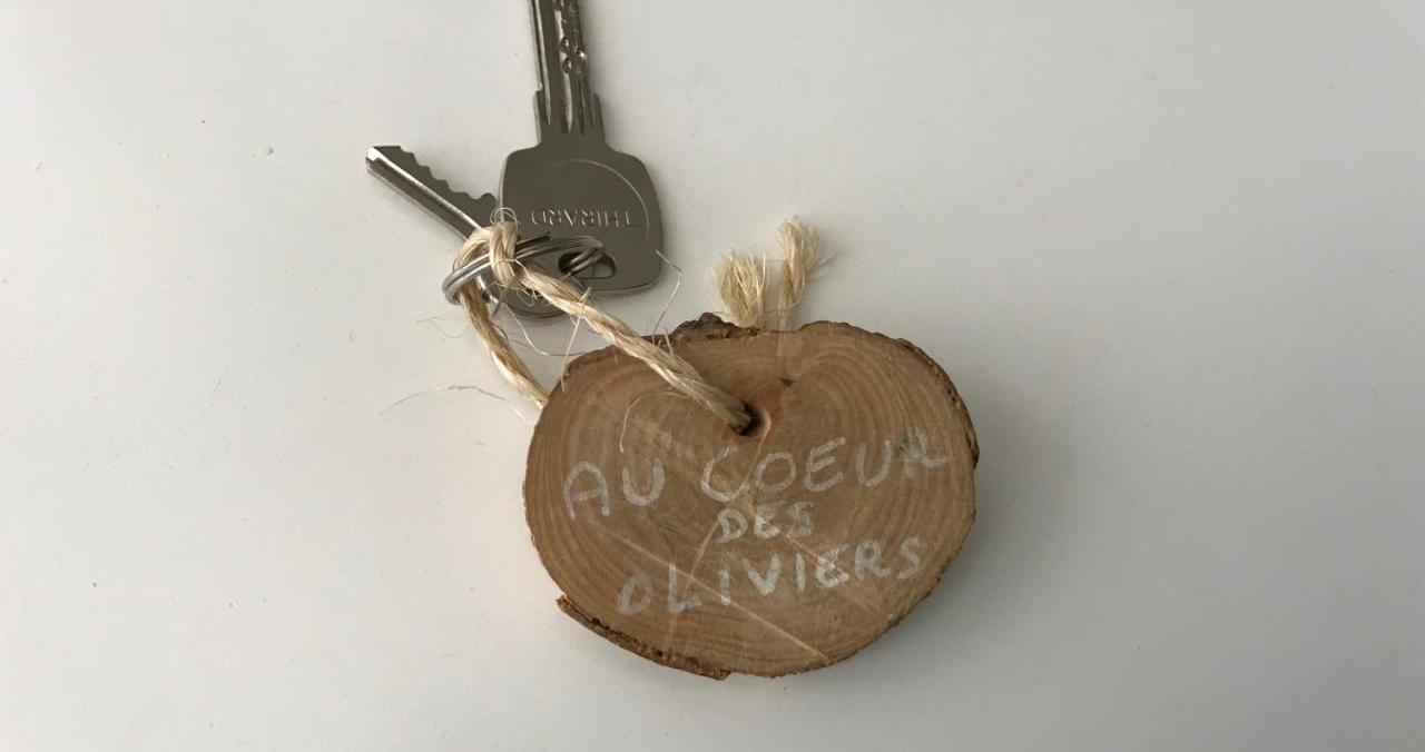 Chambre d hôtes AU CŒUR DES OLIVIERS Marselha Exterior foto