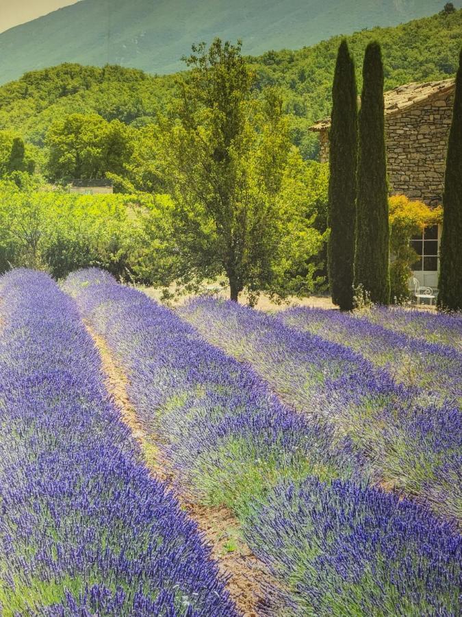 Chambre d hôtes AU CŒUR DES OLIVIERS Marselha Exterior foto